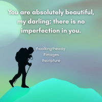 Walking the Way 28th November 2025 - Warped images