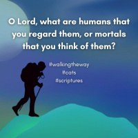 Walking the Way 5th September 2025 - Cats and God