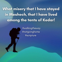 Walking the way 23rd July 2025 - Not going home