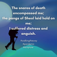 Walking the Way 17th July 2025 - Looking back