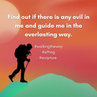 Walking the Way 28th August 2025 - Sifting soil