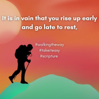 Walking the Way 1st August 2025 - Take a break