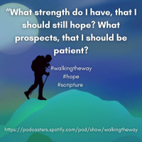 Walking the Way 9th December - Hope eternal