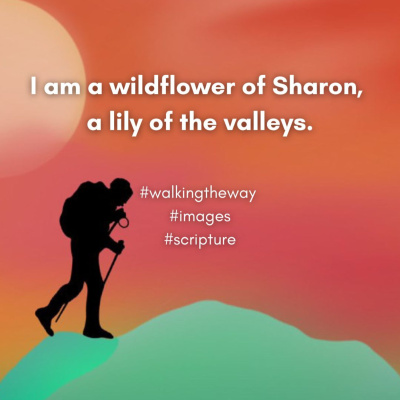 Walking The Way: A Daily Prayer Walk