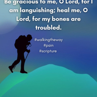 Walking The Way: A Daily Prayer Walk