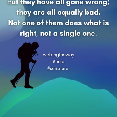 Walking The Way: A Daily Prayer Walk