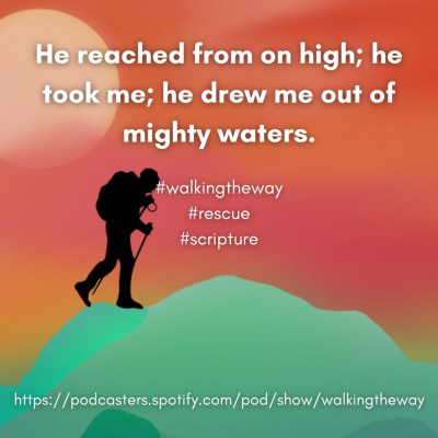 Walking The Way: A Daily Prayer Walk