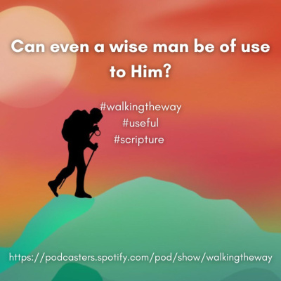 Walking The Way: A Daily Prayer Walk