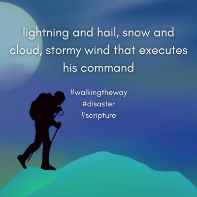 Walking The Way: A Daily Prayer Walk