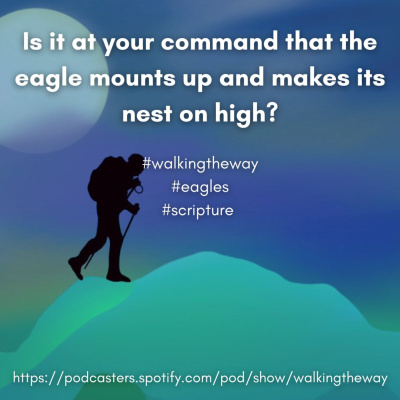 Walking The Way: A Daily Prayer Walk