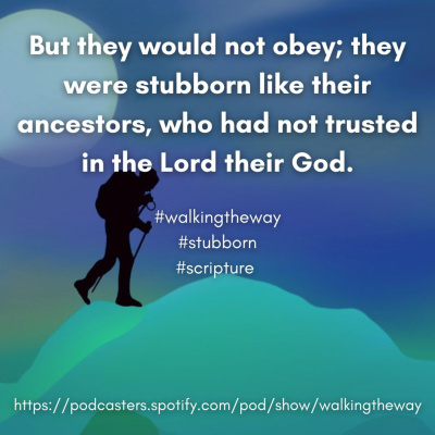 Walking The Way: A Daily Prayer Walk