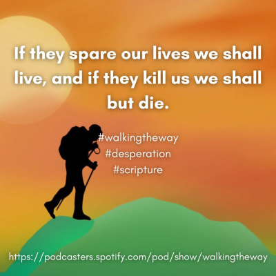 Walking The Way: A Daily Prayer Walk