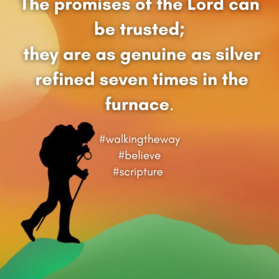 Walking The Way: A Daily Prayer Walk