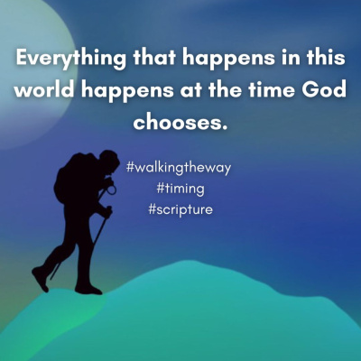 Walking The Way: A Daily Prayer Walk