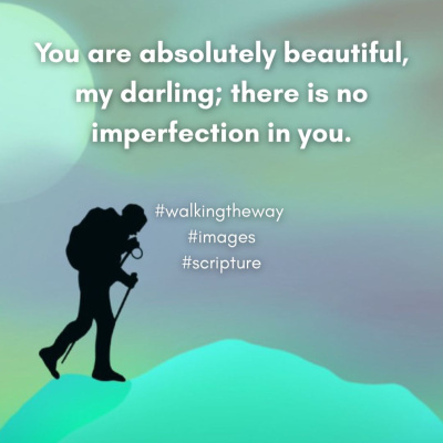 Walking The Way: A Daily Prayer Walk