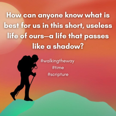 Walking The Way: A Daily Prayer Walk