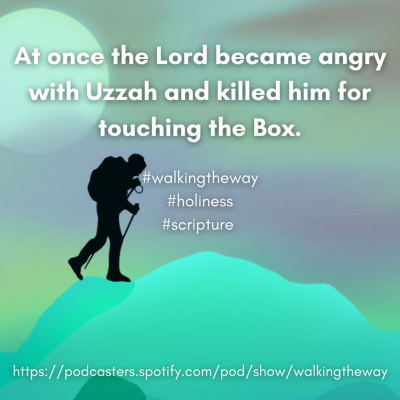 Walking The Way: A Daily Prayer Walk