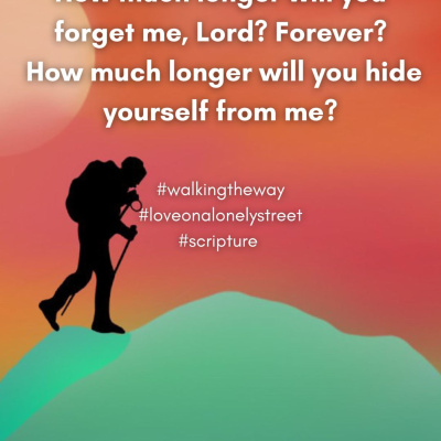 Walking The Way: A Daily Prayer Walk