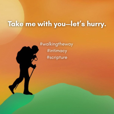 Walking The Way: A Daily Prayer Walk