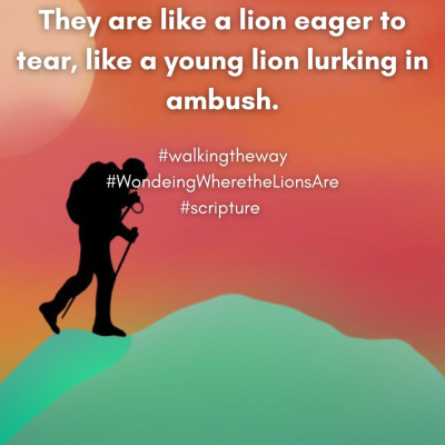 Walking The Way: A Daily Prayer Walk