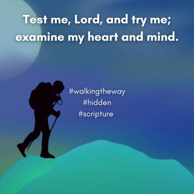 Walking The Way: A Daily Prayer Walk