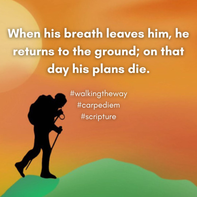 Walking The Way: A Daily Prayer Walk