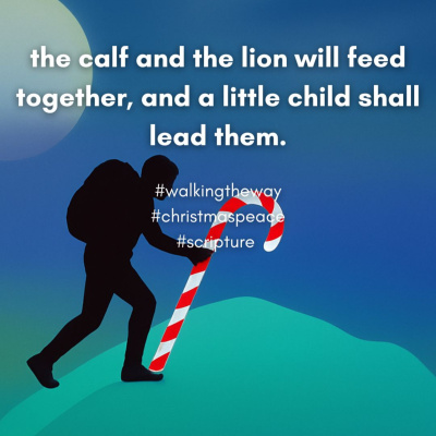 Walking The Way: A Daily Prayer Walk