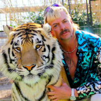 Episode 32: Tigers, Joe, Carole, amp Karen