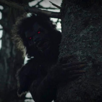 Soft Disclosure: Werewolf, Dogmen amp Bigfoot