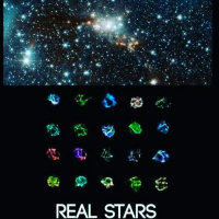 Trump the Bus Driver