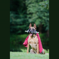 15: Eat less, move more!