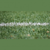 12: Find your Happy Place