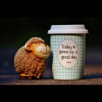 24: How To Lessen The Negativity In Your Life