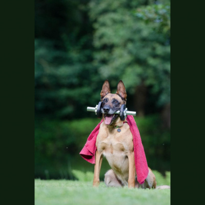 Happiness Injection With Shonette Bason