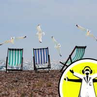 Naked Scientists 17.07.04 - Marine Month: Lifes A Beach