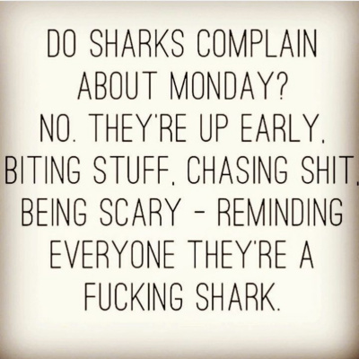 Michael bonez Brooks