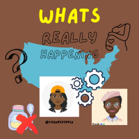 Assimilation In 2022