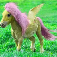 Mypony