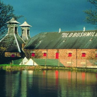90: The Oldest Whiskey distillery in the world. Lets Talk Bushmills. 