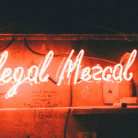 68: Ep 68 Ilegal Mezcal, a touch of Sotol and a little Buie