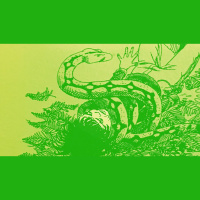 Ep. 8. The Cave of Time: Week Eight