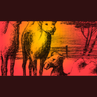 Ep. 273. Struggle Down Under: Week FIVE with Dani and Bill from Escape This Podcast!