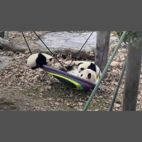 Ep. 319. National Park Monster Ranger: Week 11 Rolling Way Too Loose