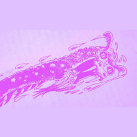 Ep. 9. The Cave of Time: Week Nine