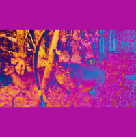 Ep. 221. Creeptobscare ’22: Could You Be a Deer with Ty!