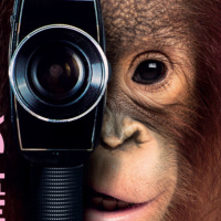 Mundocine E37 – David Roma - LPA Film Festival