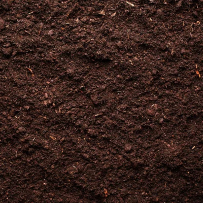 Austin James Currera