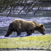 Episode 9 - Undaunted Courage