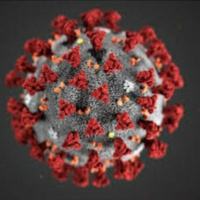 #38 Dementia Diaries My Moms COVID 19 Story