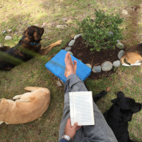 Galactic Inspiration Podcast # 7 - Lions  Tigers  Bears, Oh My!